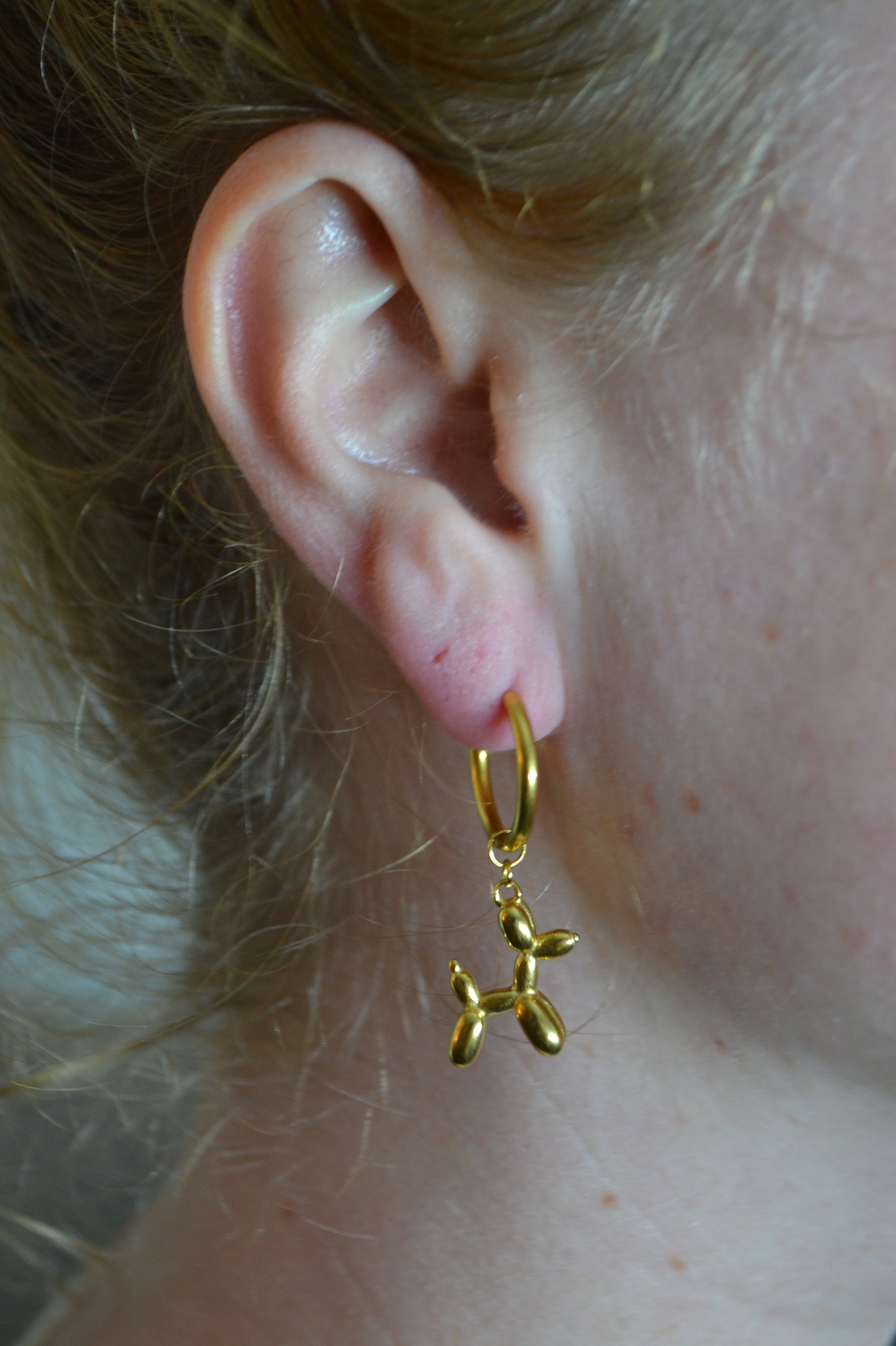 Ballon Hond Oorbellen Goud